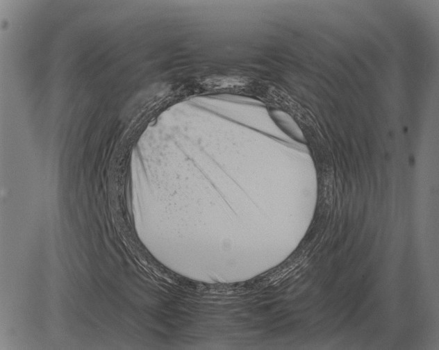 X0000083661393200703121759