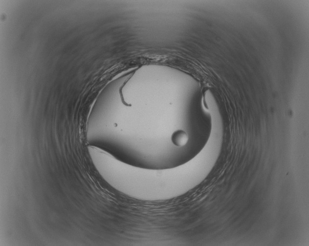 X0000083661394200703121759