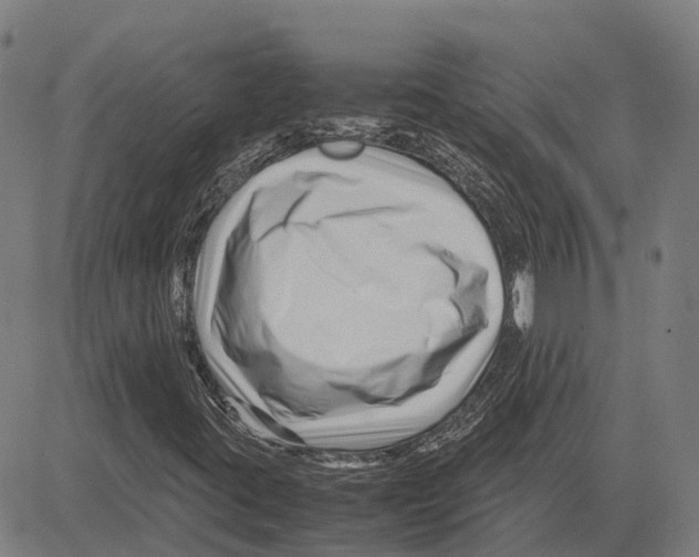 X0000083661395200703121759