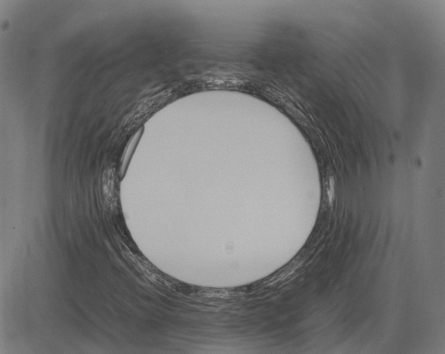 X0000083661396200703121759