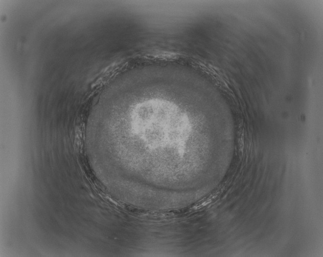 X0000083661397200703121759