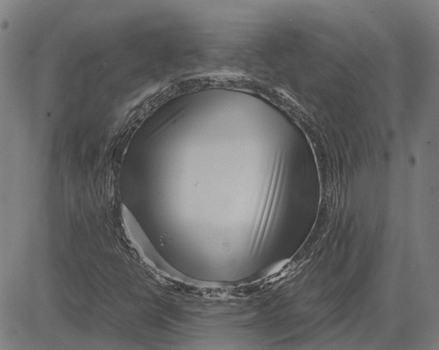 X0000083661398200703121759