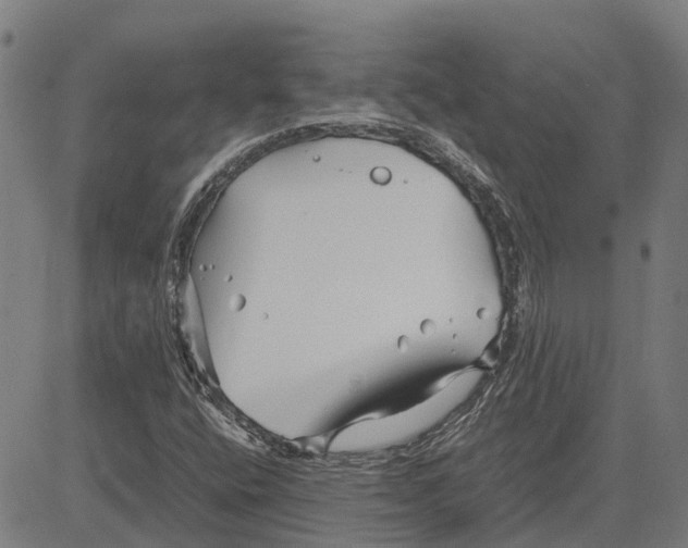 X0000083661400200703121759