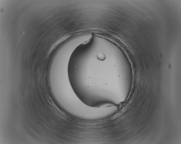 X0000083661402200703121759