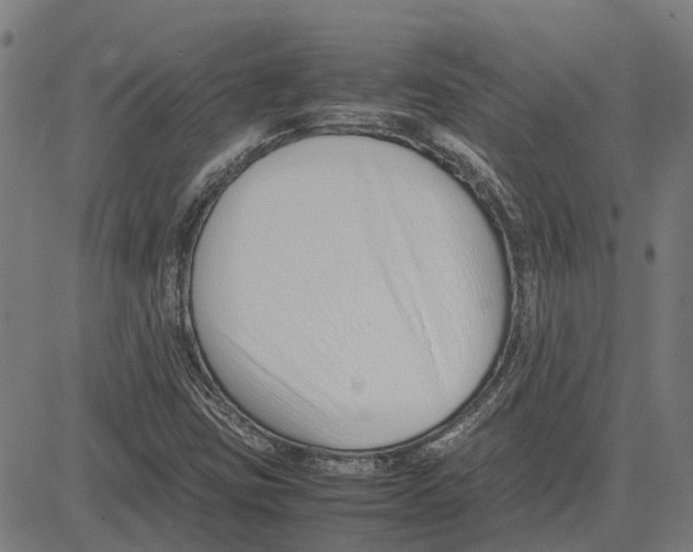 X0000083661403200703121759