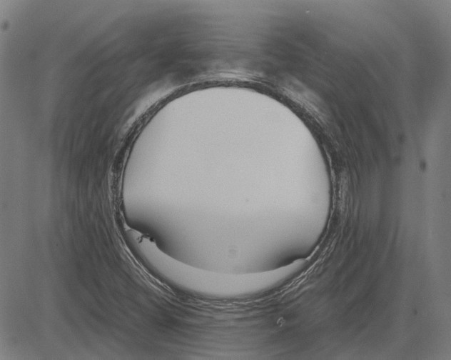 X0000083661404200703121759