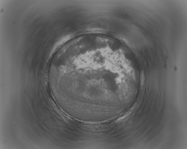 X0000083661405200703121759