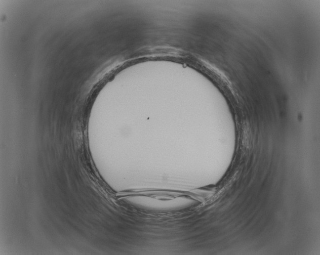 X0000083661407200703121759