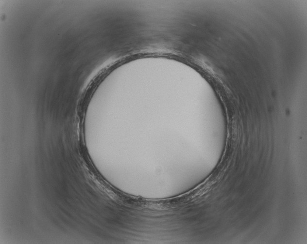 X0000083661408200703121759