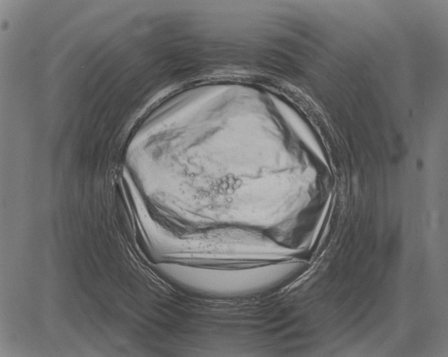 X0000083661409200703121759