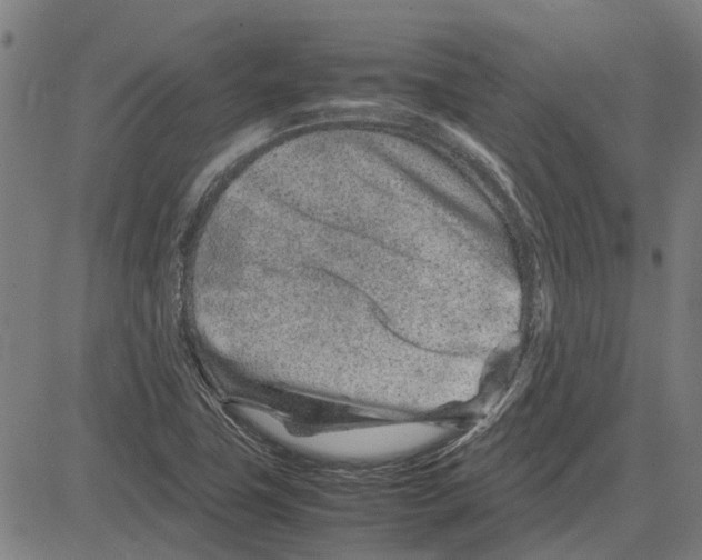 X0000083661411200703121759