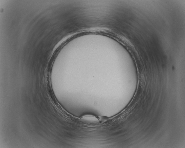 X0000083661412200703121759