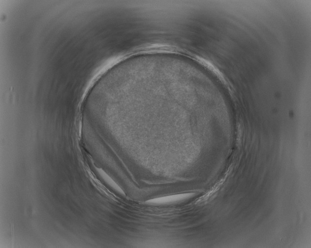 X0000083661413200703121759