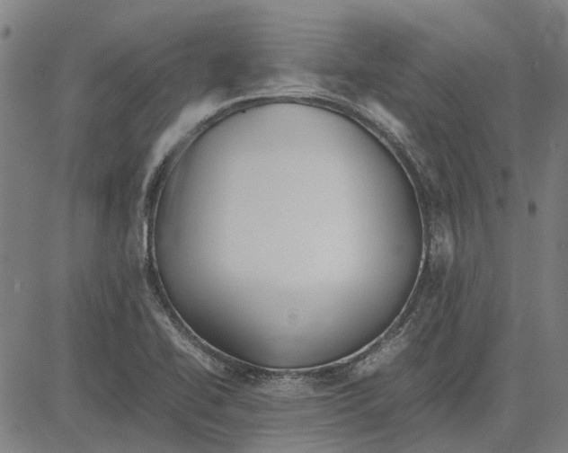 X0000083661414200703121759