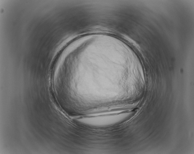 X0000083661415200703121759