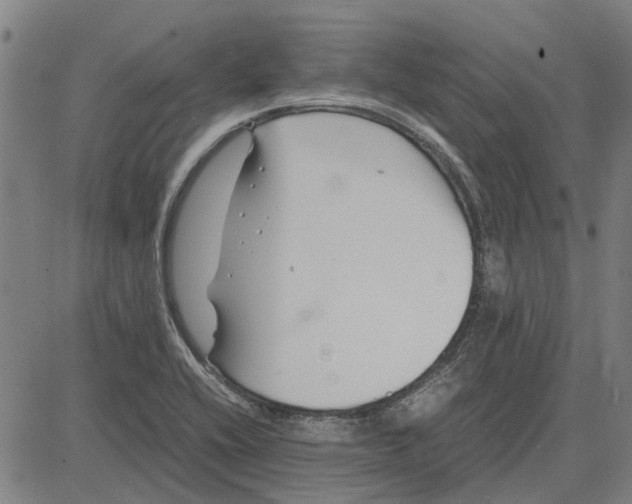 X0000083661416200703121759