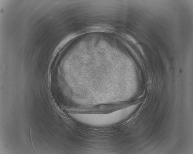 X0000083661419200703121759