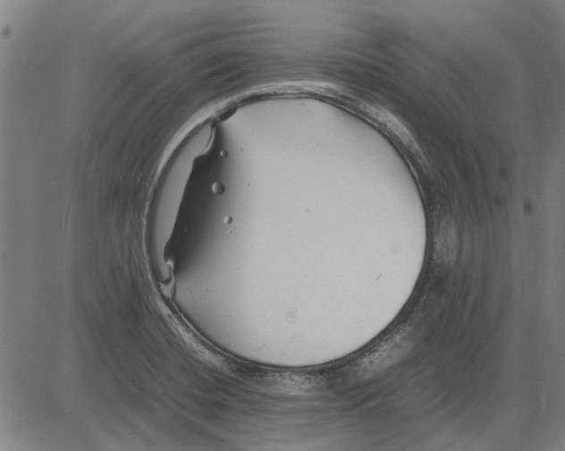 X0000083661420200703121759