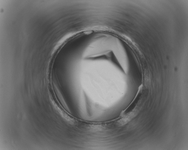 X0000083661422200703121759