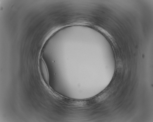 X0000083661423200703121759