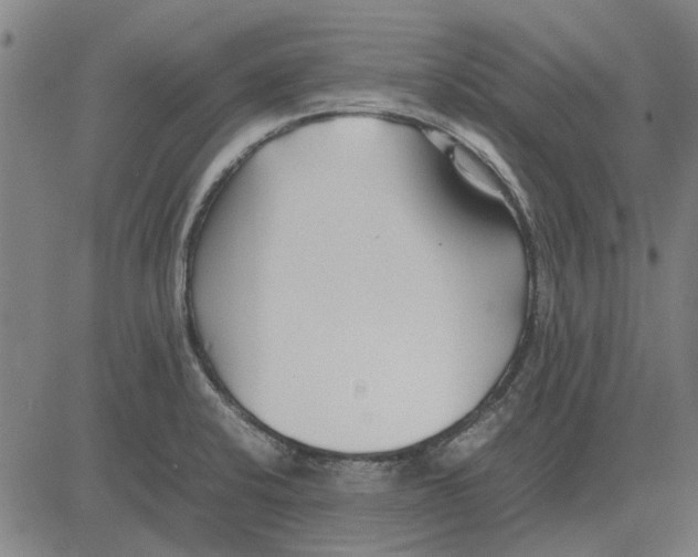 X0000083661424200703121759