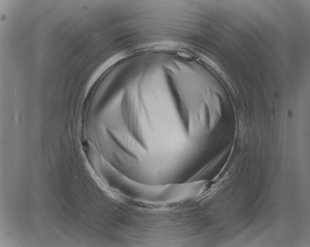 X0000083661426200703121759