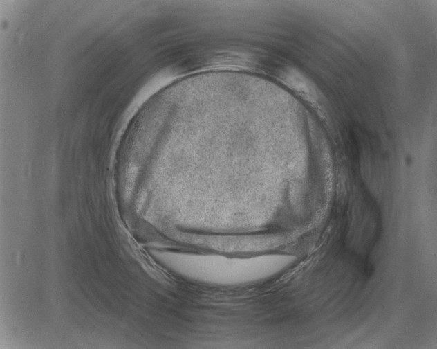 X0000083661427200703121759