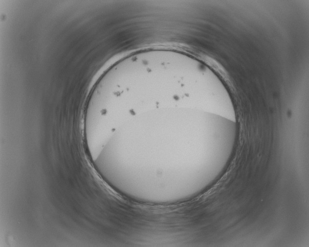 X0000083661428200703121800