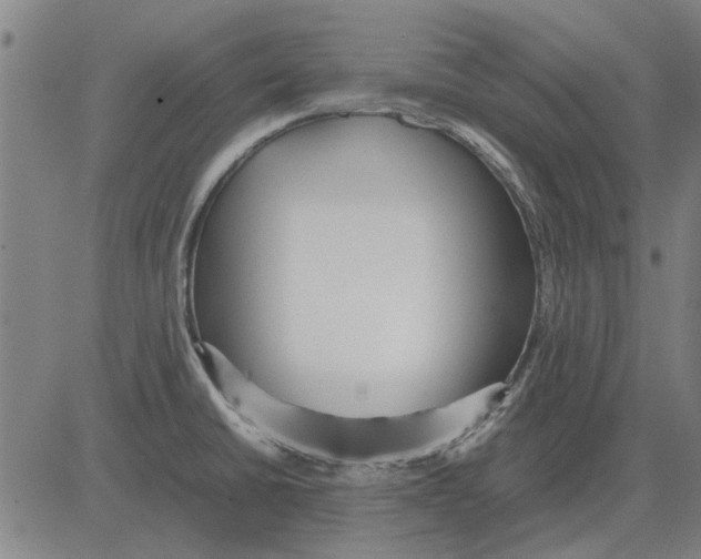 X0000083661430200703121800