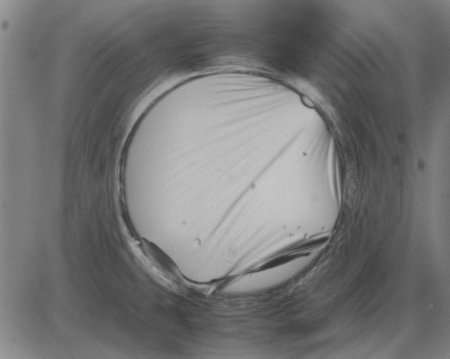 X0000083661431200703121800