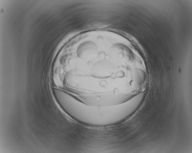 X0000083661432200703121800