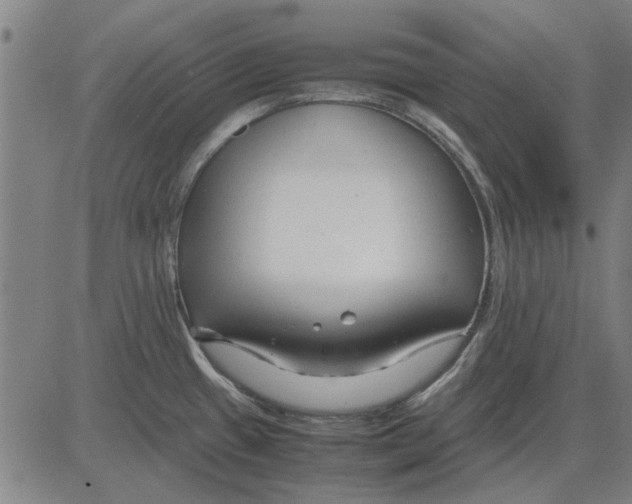 X0000083661433200703121800