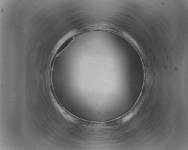 X0000083661434200703121800