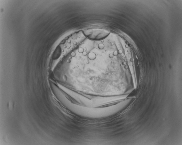 X0000083661435200703121800