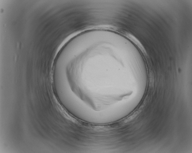 X0000083661436200703121800