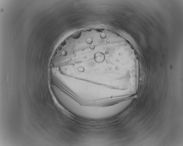 X0000083661439200703121800