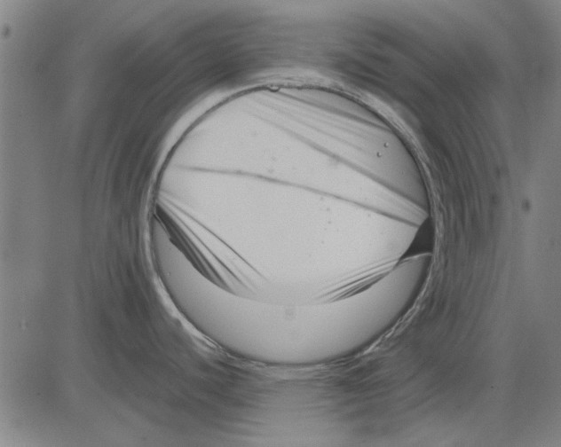 X0000083661440200703121800