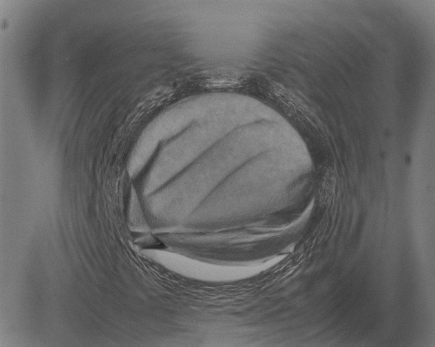 X0000083661441200703121759