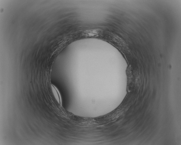 X0000083661442200703121759