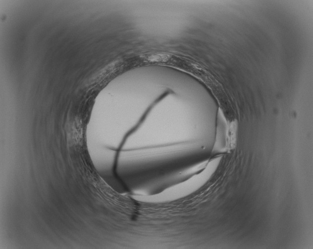 X0000083661443200703121759