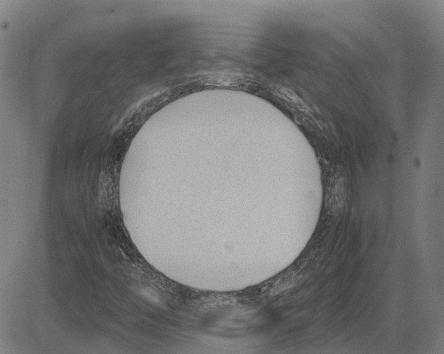 X0000083661446200703121759