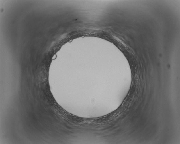 X0000083661447200703121759