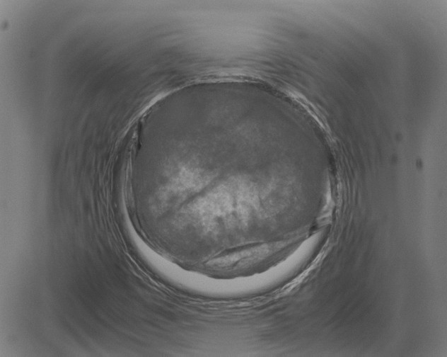 X0000083661449200703121759