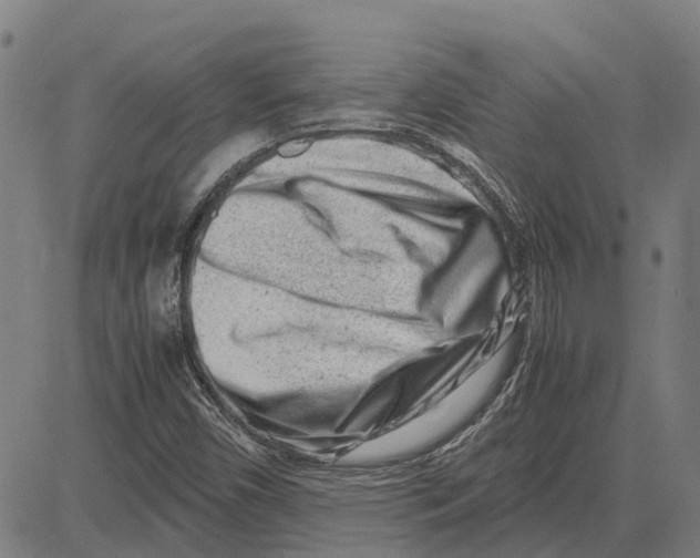 X0000083661450200703121759