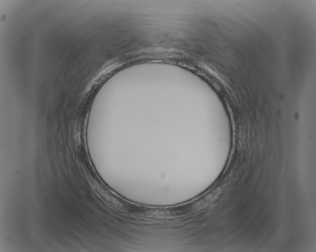 X0000083661451200703121759