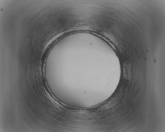 X0000083661452200703121759