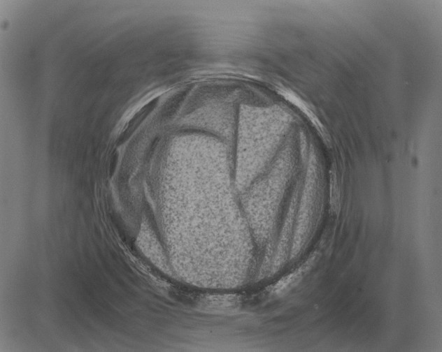 X0000083661453200703121759