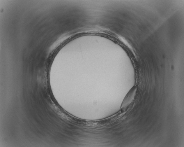 X0000083661456200703121759