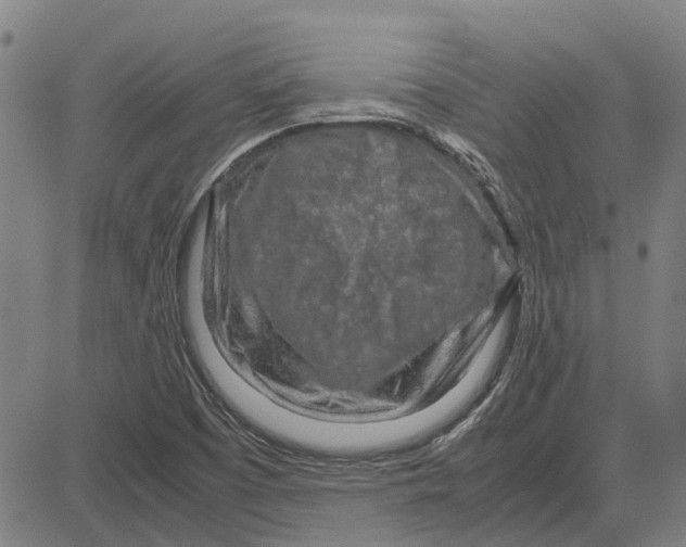 X0000083661457200703121759