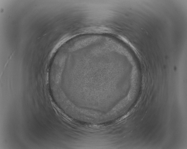 X0000083661459200703121759